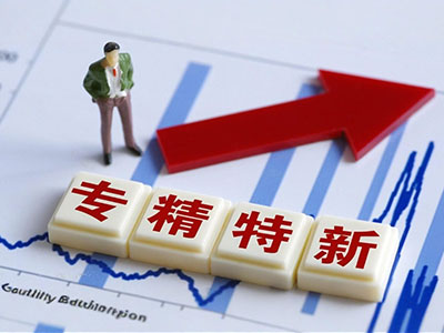 专精公司转让