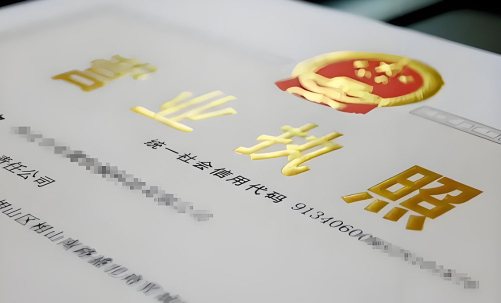 有限责任公司营业执照样本